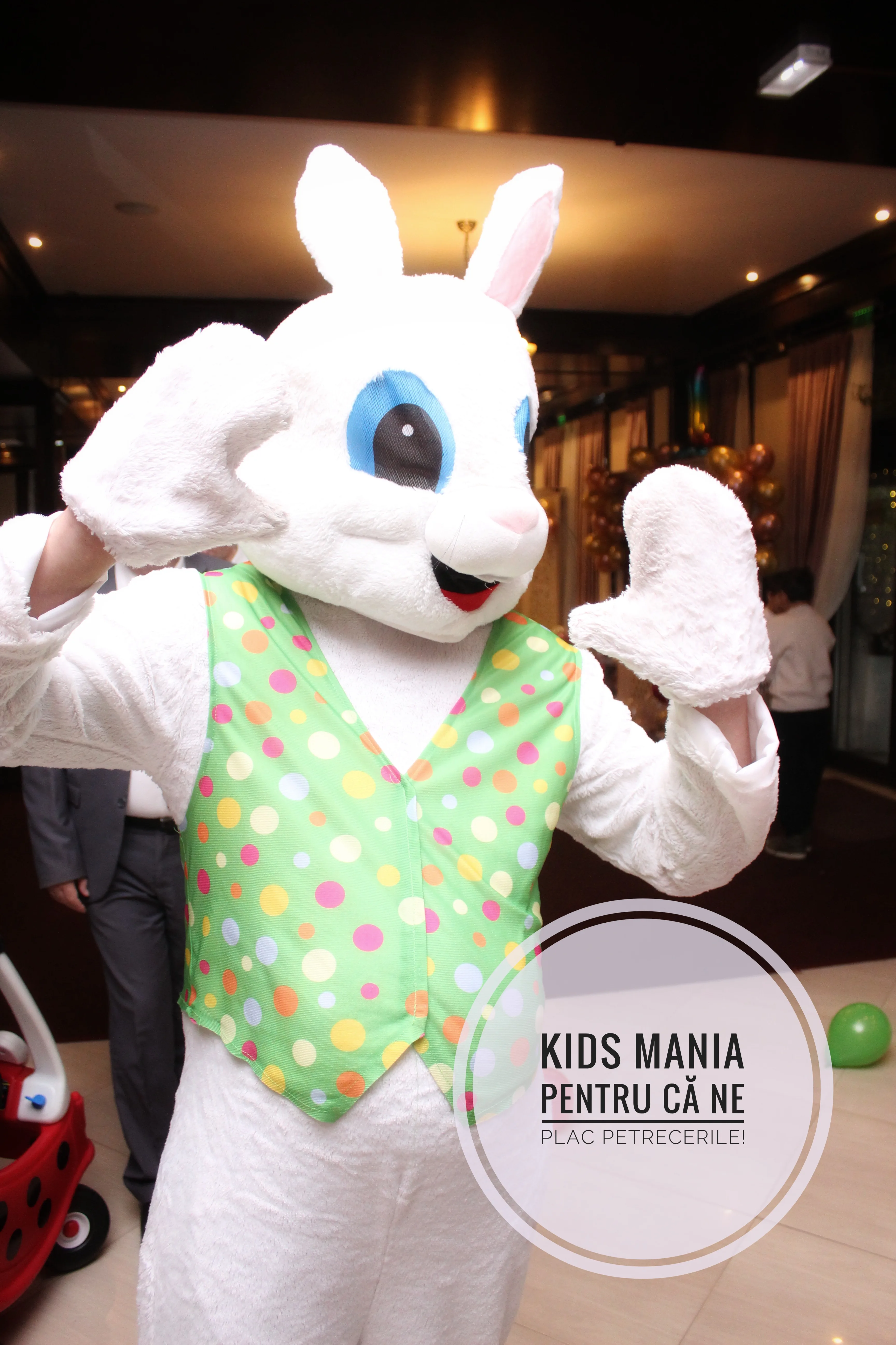 Sonorizare LD Systems petreceri Kids Mania Iași